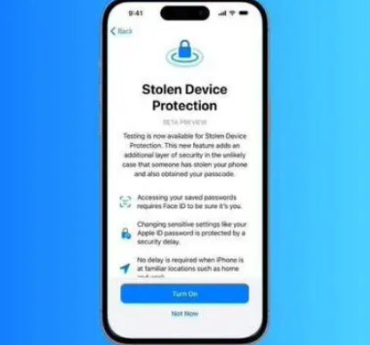 扎赉诺尔苹果授权维修店分享被盗设备保护功能开启方法