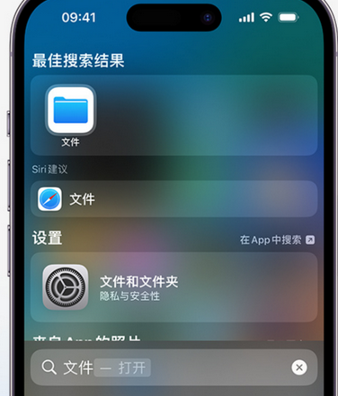 扎赉诺尔apple维修中心分享iPhone文件应用中存储和找到下载文件 