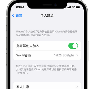 扎赉诺尔apple服务站点分享iPhone上个人热点丢失了怎么办 