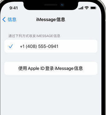 扎赉诺尔apple维修iPhone上无法正常发送iMessage信息 