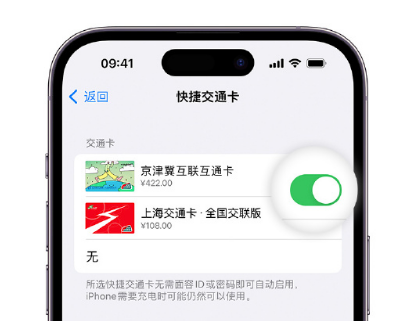 扎赉诺尔apple维修点分享iPhone上更换Apple Pay快捷交通卡手绘卡面 