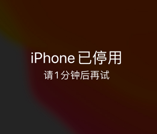 扎赉诺尔苹果手机维修分享:iPhone 显示“不可用”或“已停用”怎么办？还能保留数据吗？ 