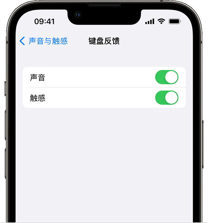 扎赉诺尔苹果14维修店分享如何在 iPhone 14 机型中使用触感键盘 