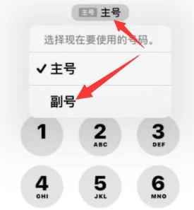 扎赉诺尔苹果14维修店分享iPhone 14 Pro Max使用副卡打电话的方法 