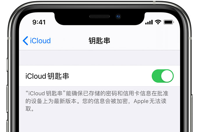 扎赉诺尔苹果手机维修分享在 iPhone 上开启 iCloud 钥匙串之后会储存哪些信息 